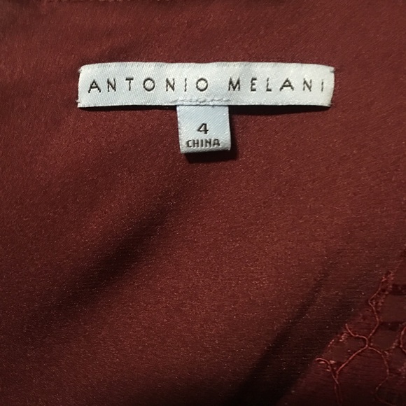 Antonio Melani Lace V Neck Dress - Picture 4 of 4